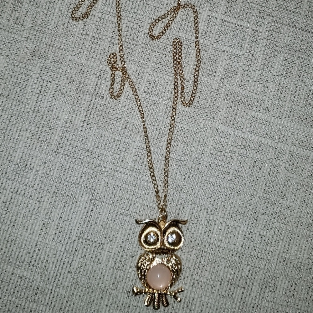 Rue 21 Necklace and earrings Owl